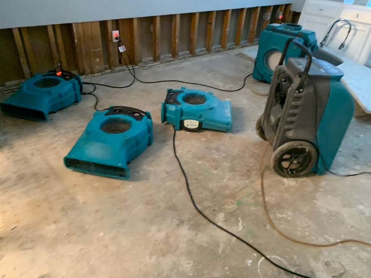 Basement Flood Cleanup in Marysville, MI